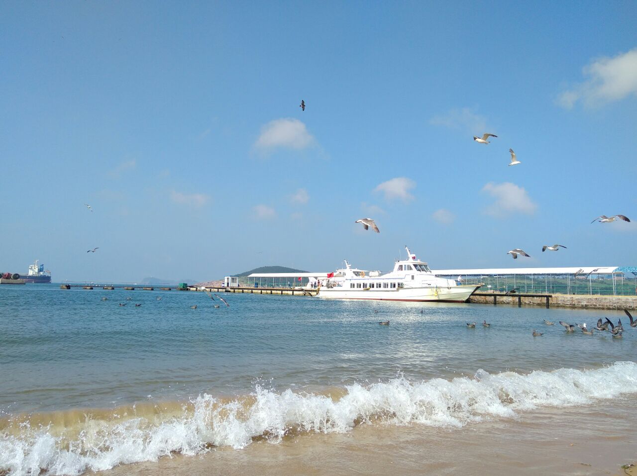 山东省 威海市 荣成 海驴岛