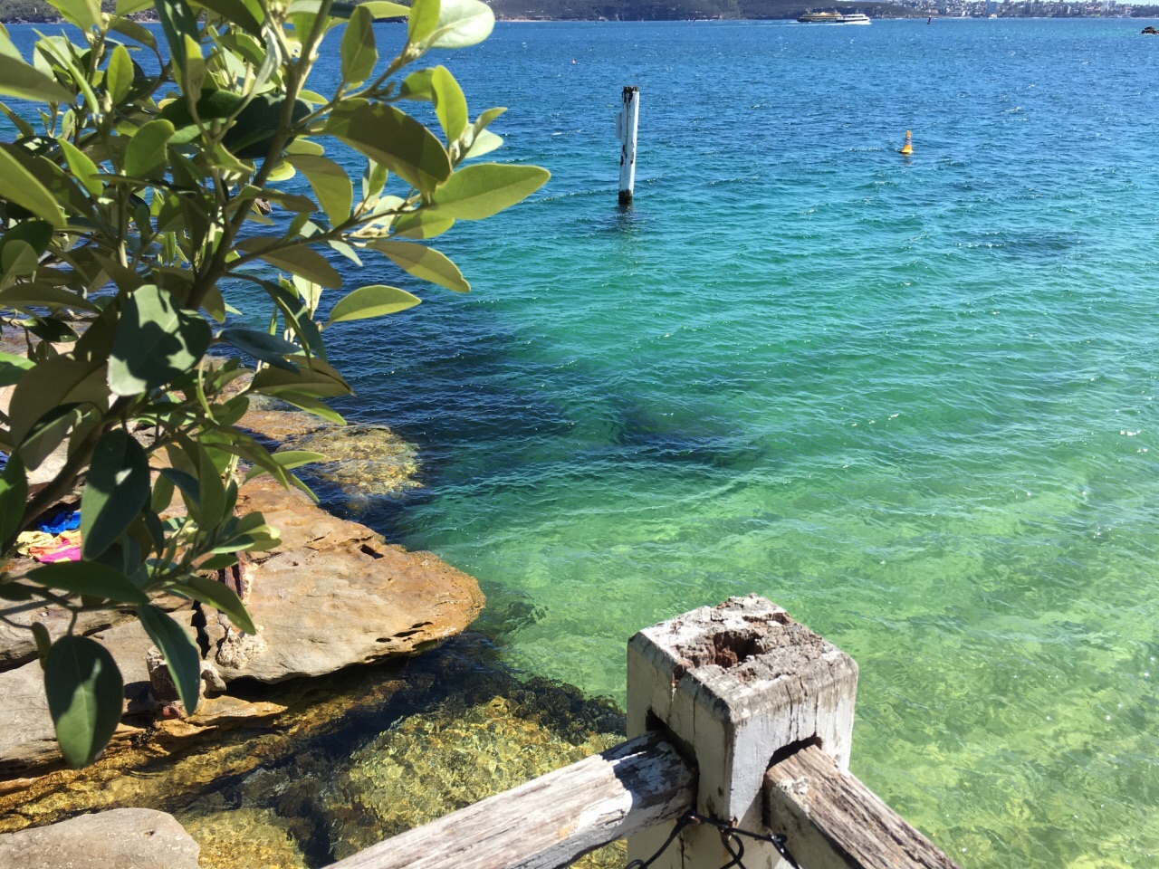 澳大利亚 悉尼市 华特森湾