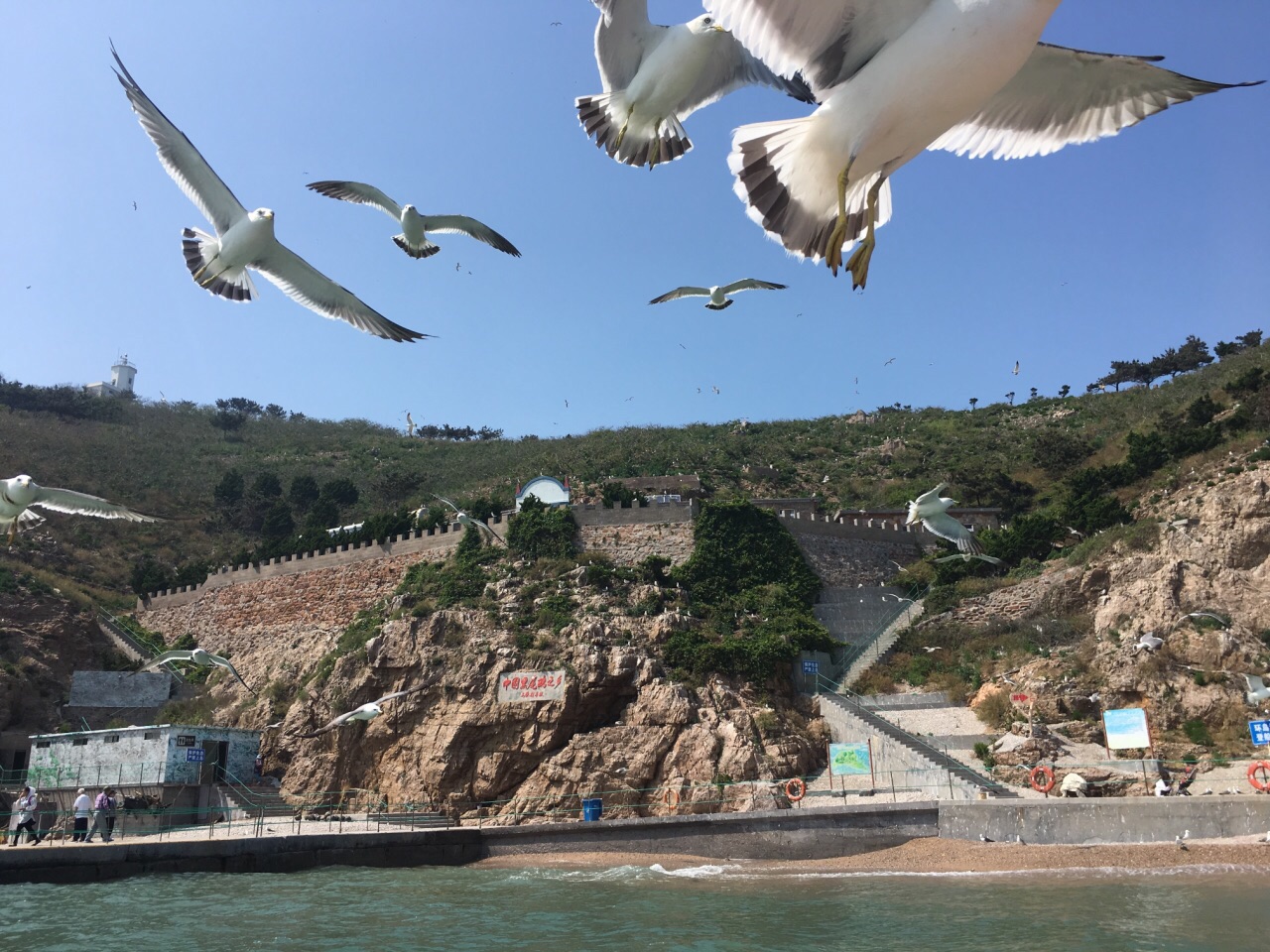 山东省 威海市 荣成 海驴岛