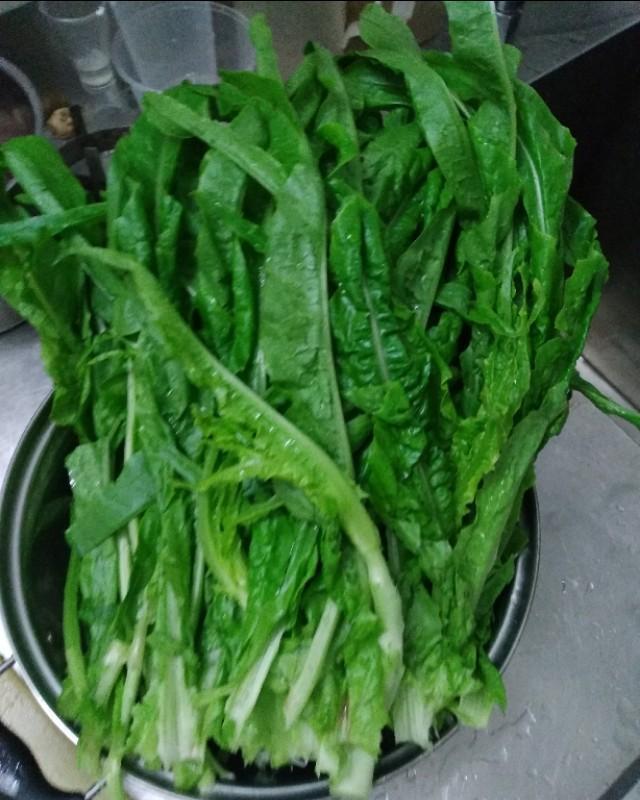 青菜吃油麻菜!