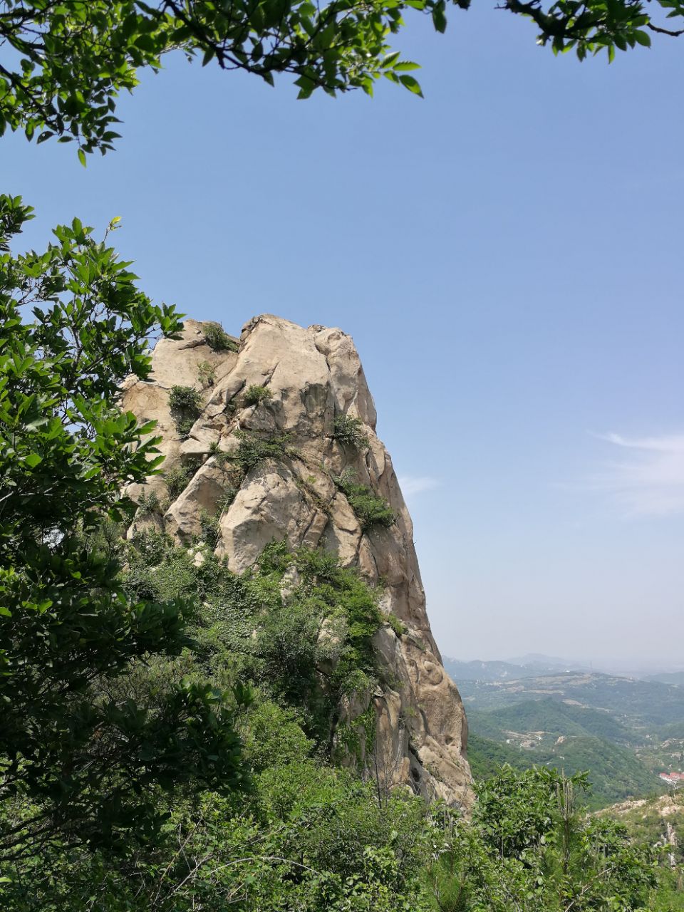 附近的成人电脑培训班