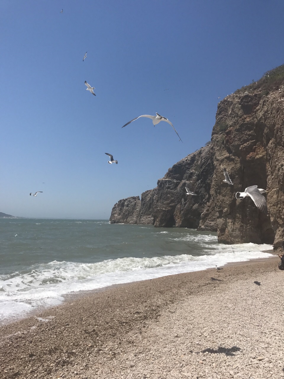 山东省 威海市 荣成 海驴岛