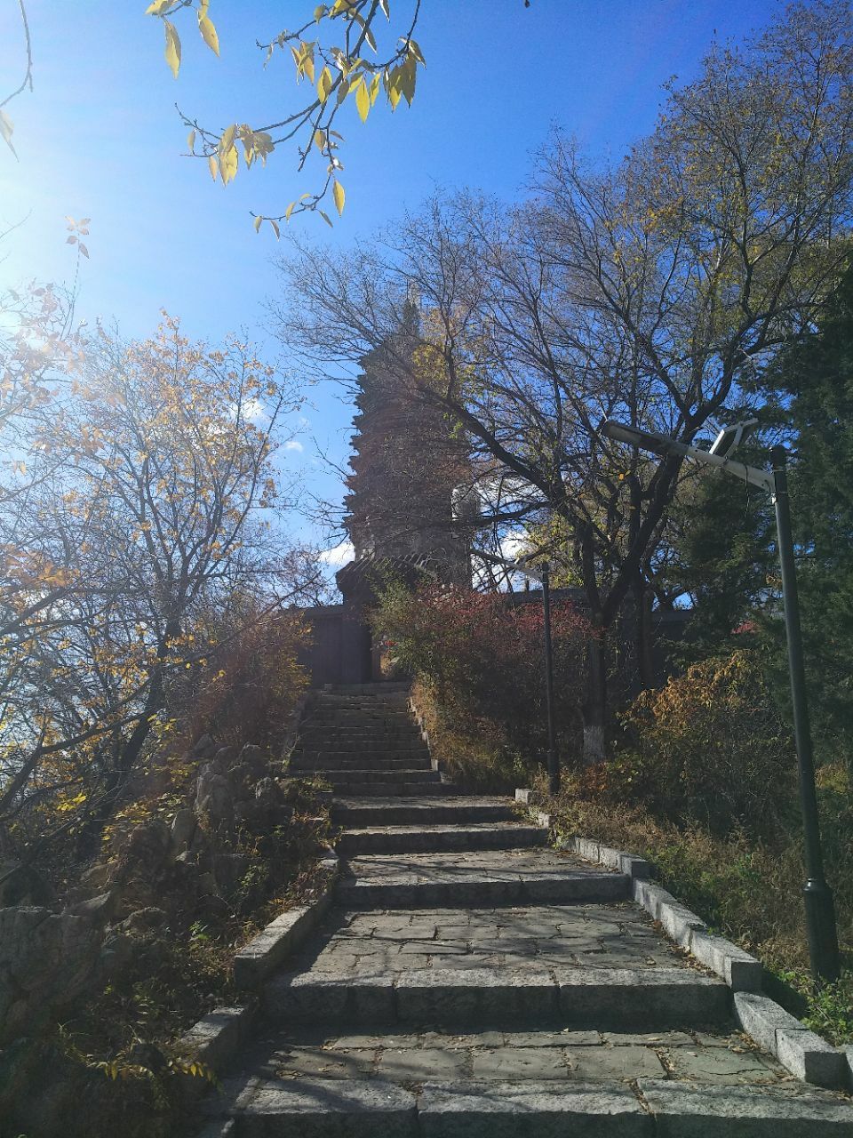 辽宁省 抚顺市 高尔山