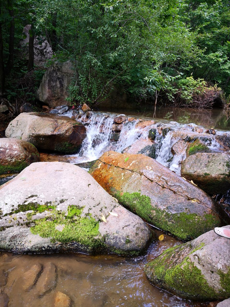 吉林省 吉林市 蛟河 鹿角沟
