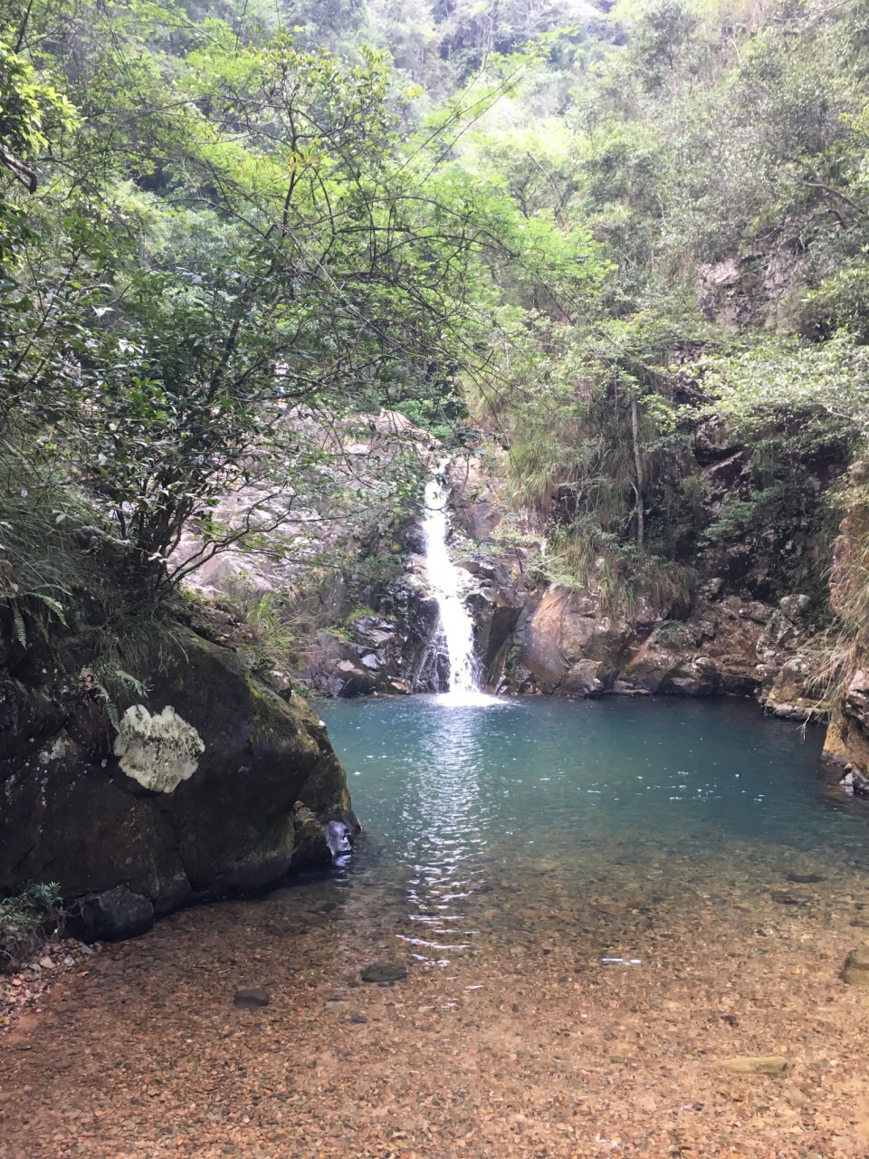福建省 三明市 九阜山自然保护区