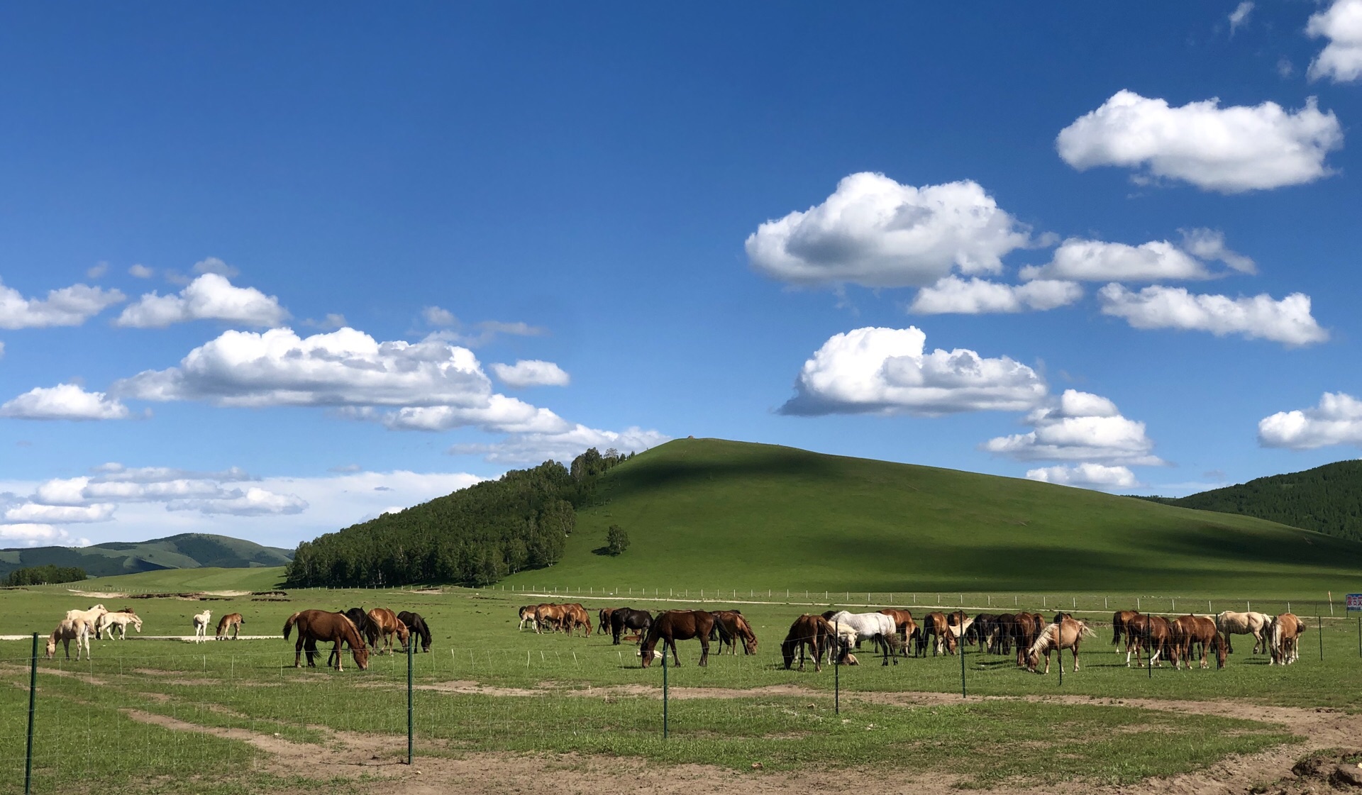 内蒙古自治区 赤峰市 乌兰布统旅游区|乌兰布统旅游区|内蒙古自治区
