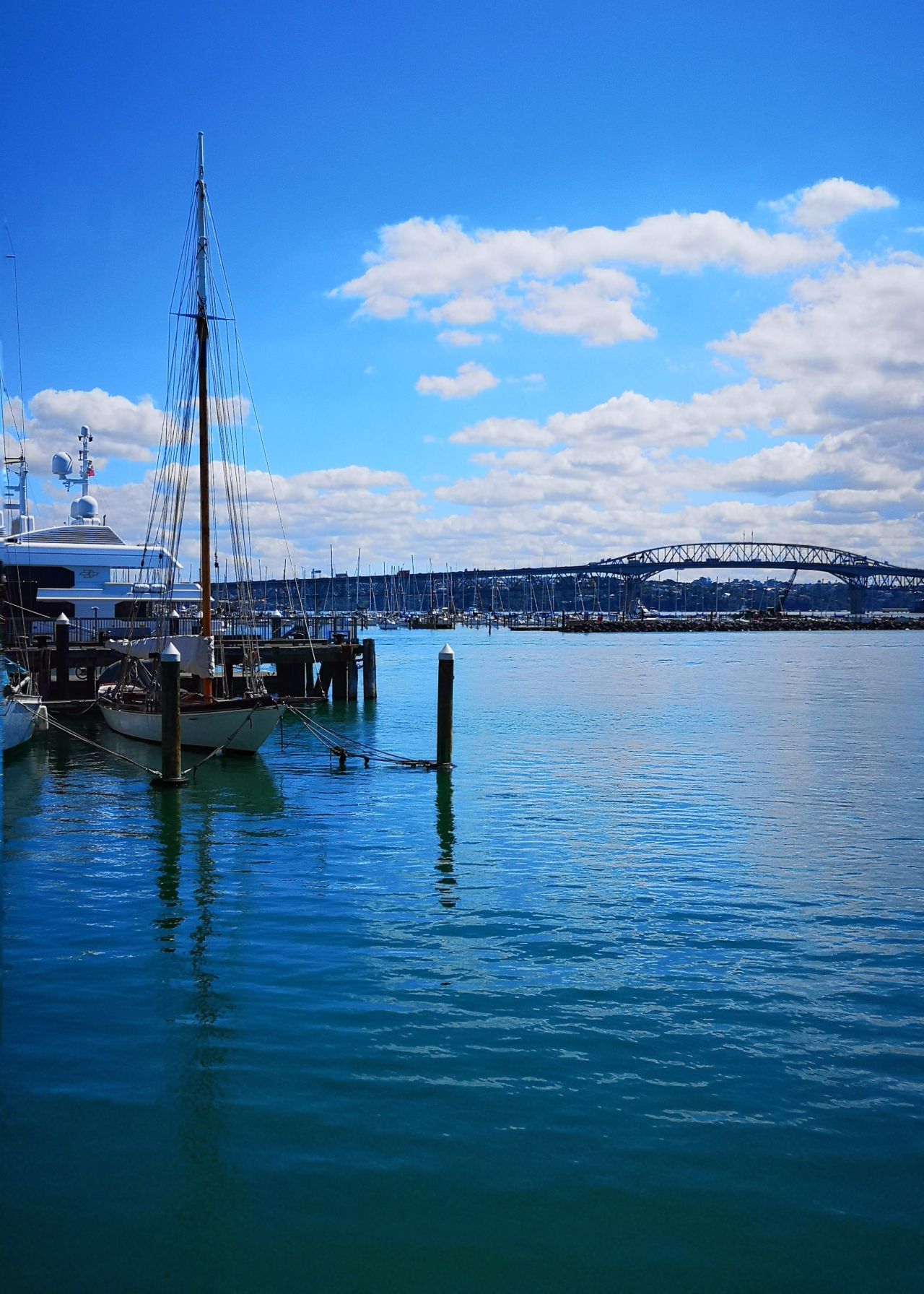 新西兰 奥克兰市 高架桥港