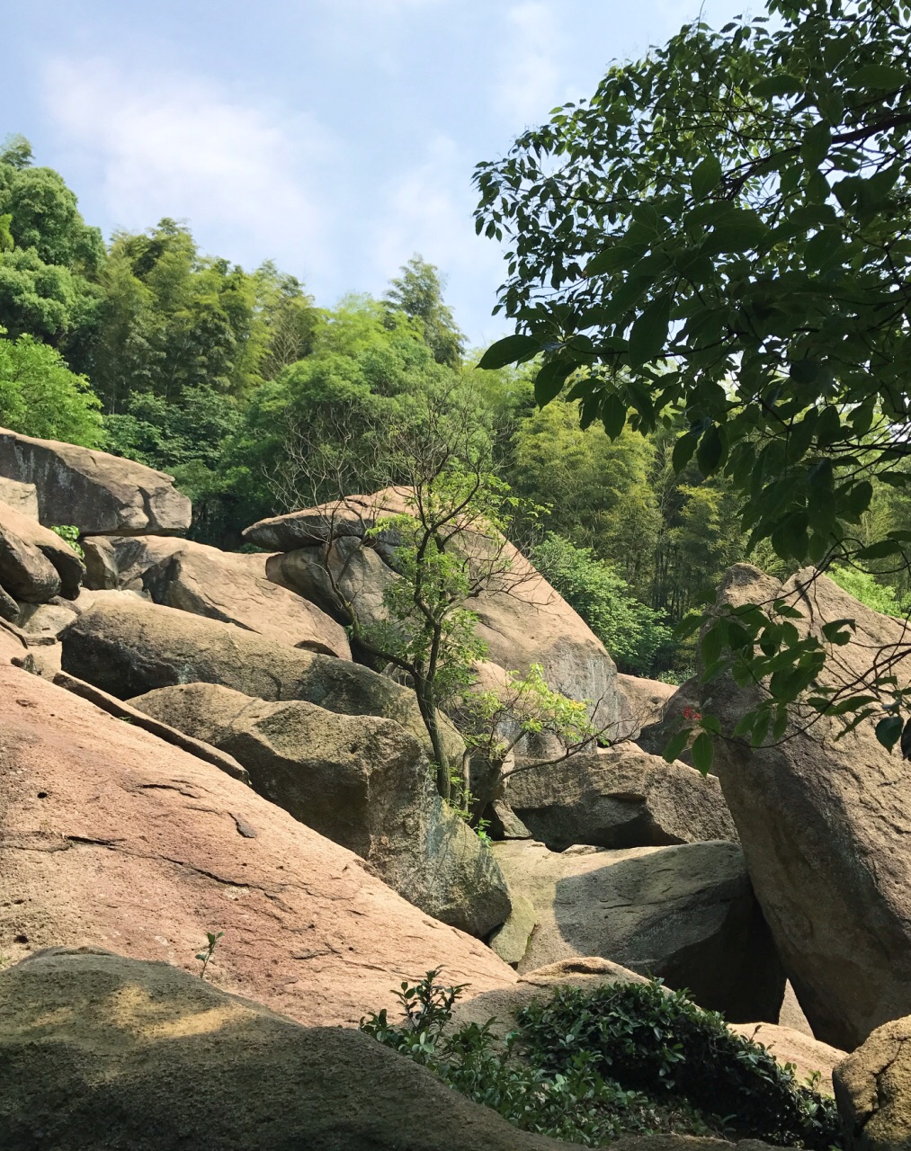 江西省 南昌市 怪石岭