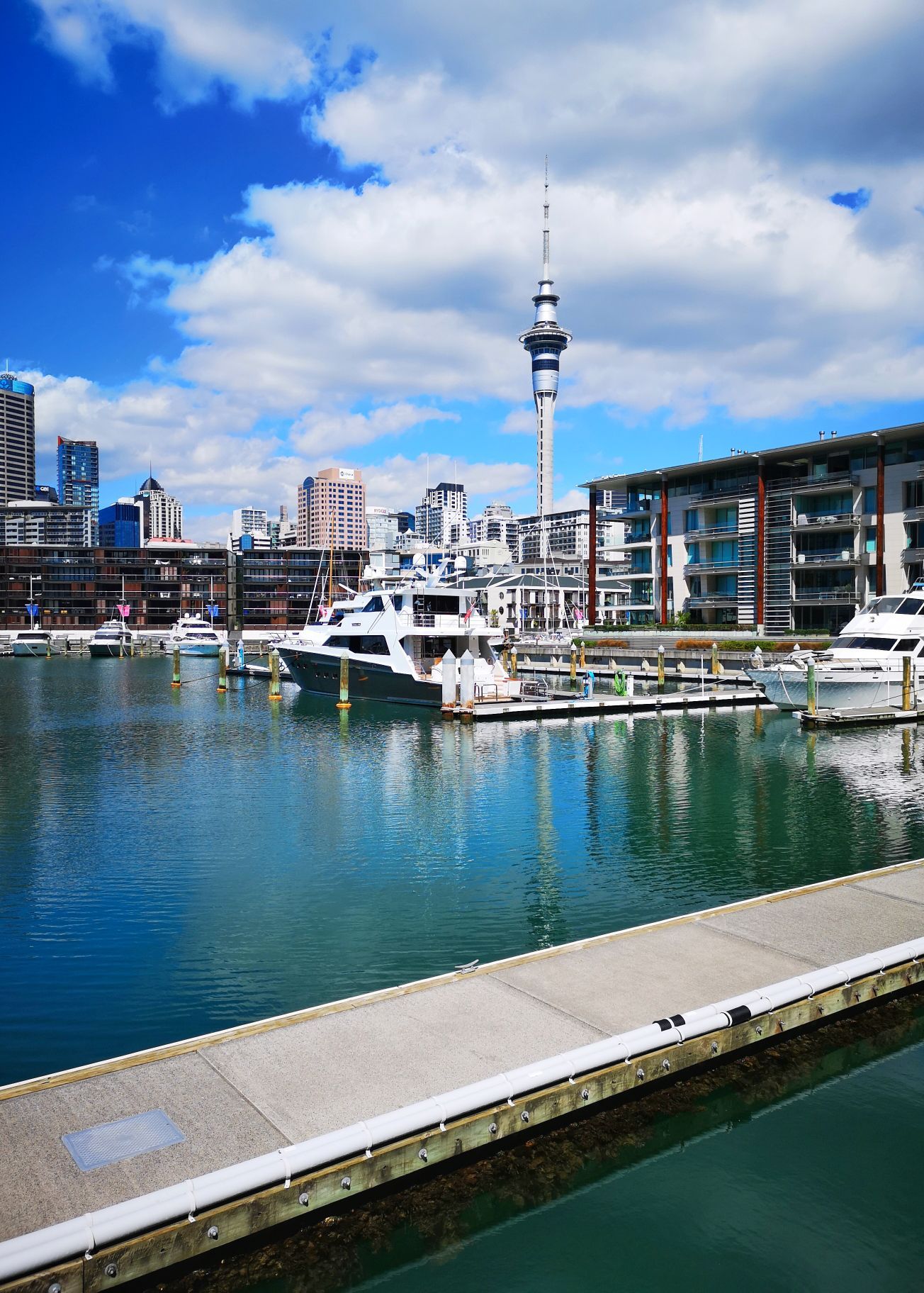 新西兰 奥克兰市 高架桥港