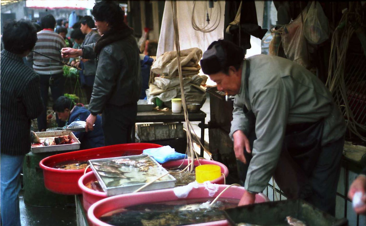 1994年的上海,罕见菜市场老照片,老上海人的回忆