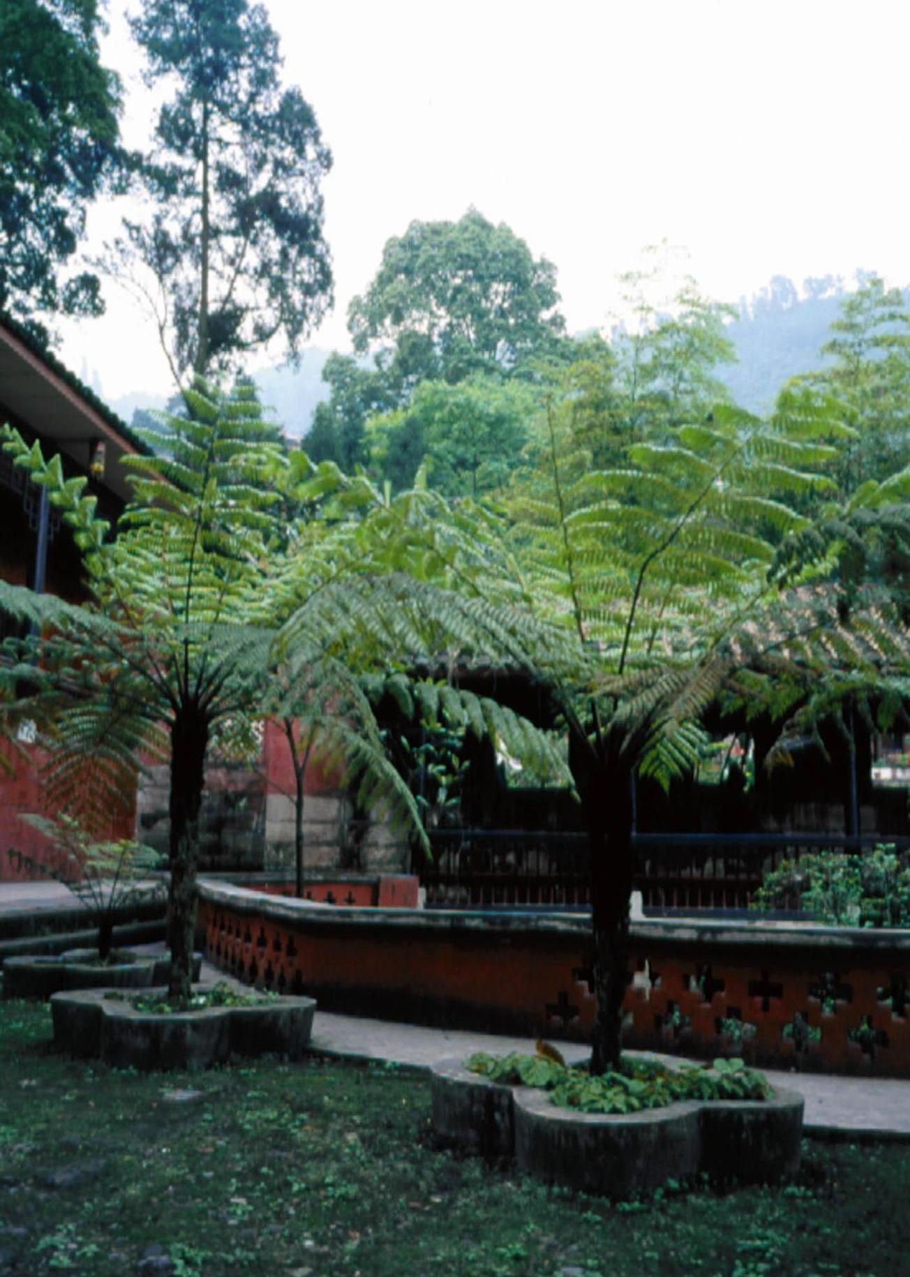 四川省甘孜州德格县新路海精美的刻有藏族文字的岩石