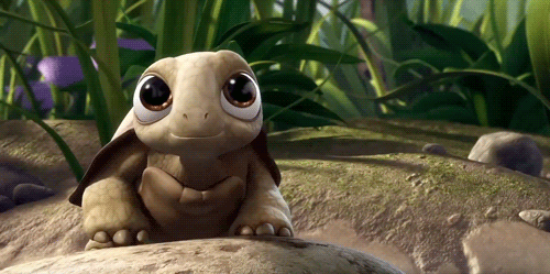 背壳,缓慢的行动,一不小心翻个身,就四爪朝天,逗乐了无数小朋友和大人