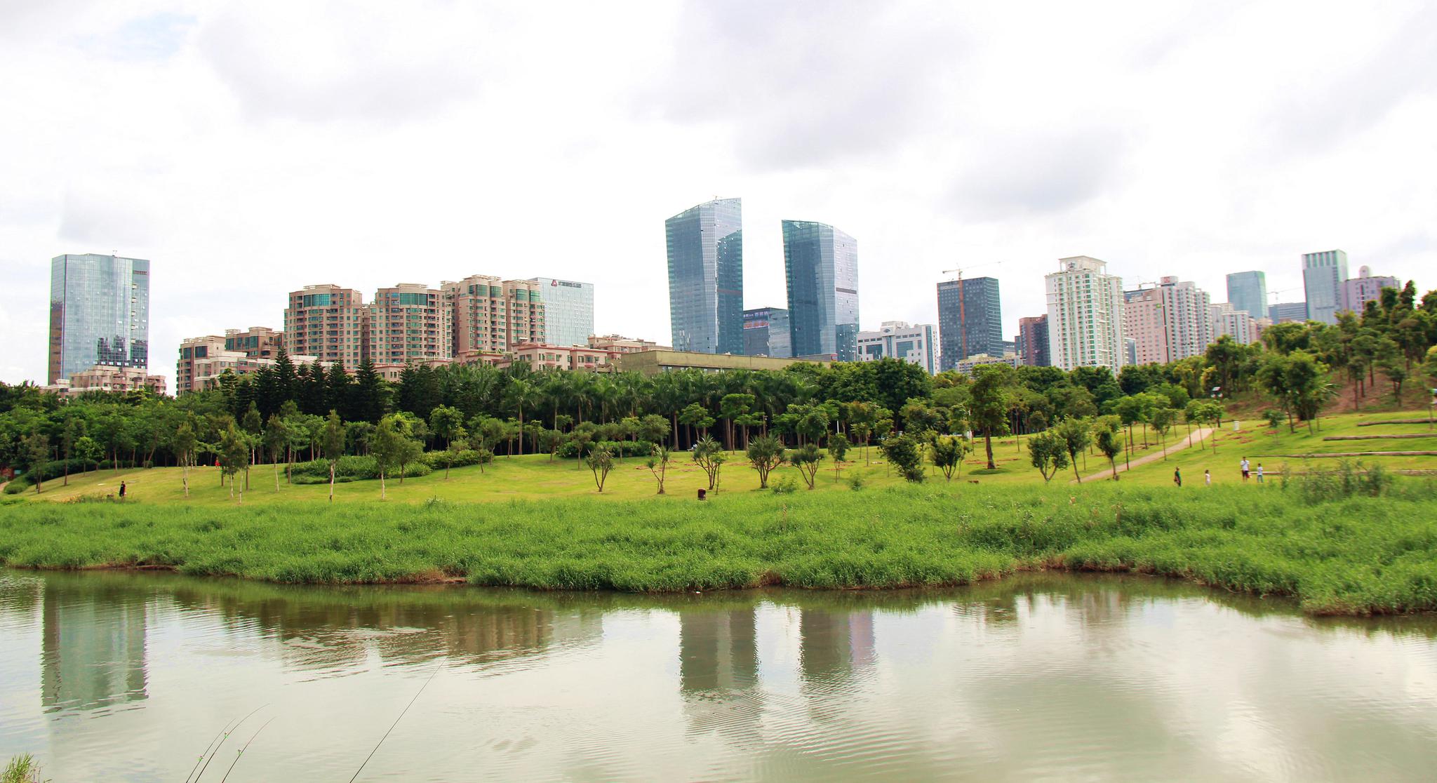 深圳中心公园,闹市之中的幽静绿地