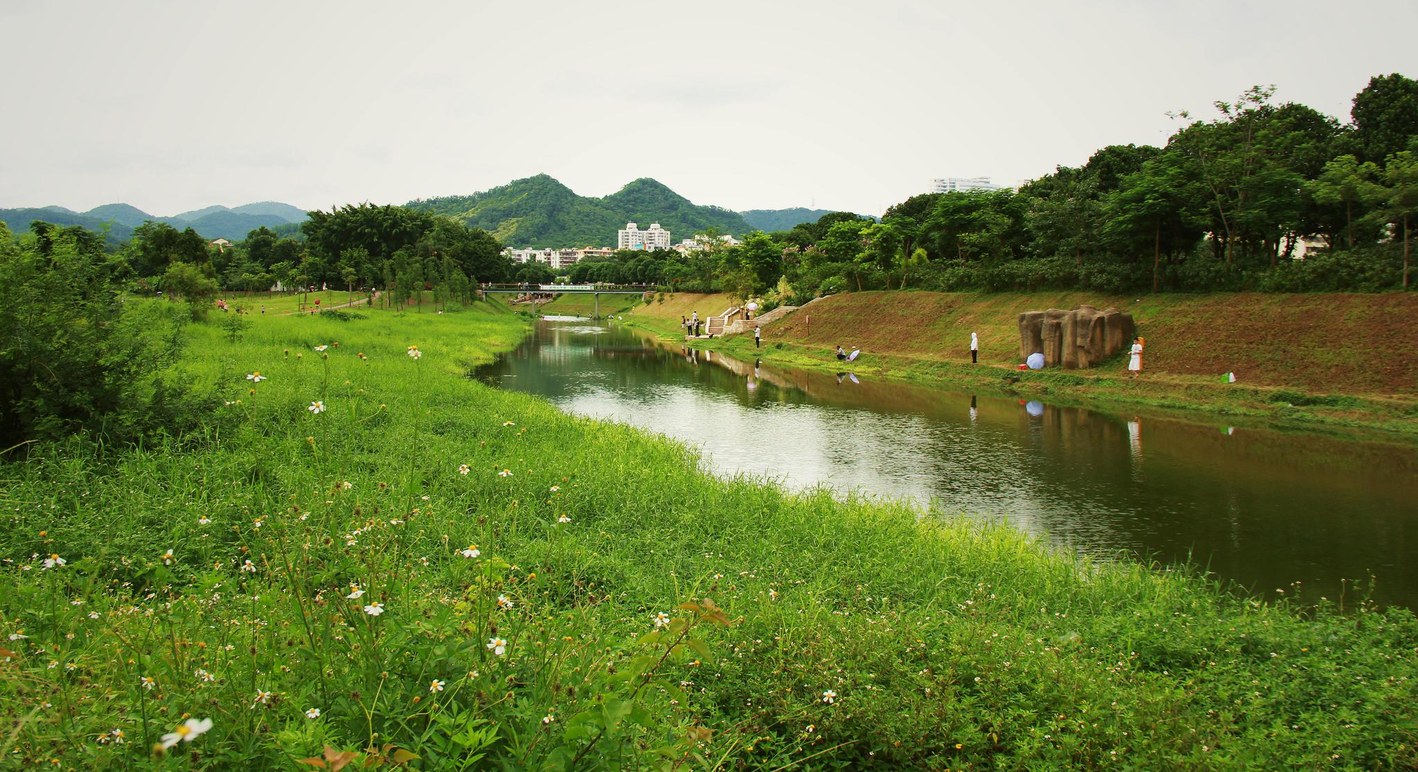 深圳中心公园,闹市之中的幽静绿地