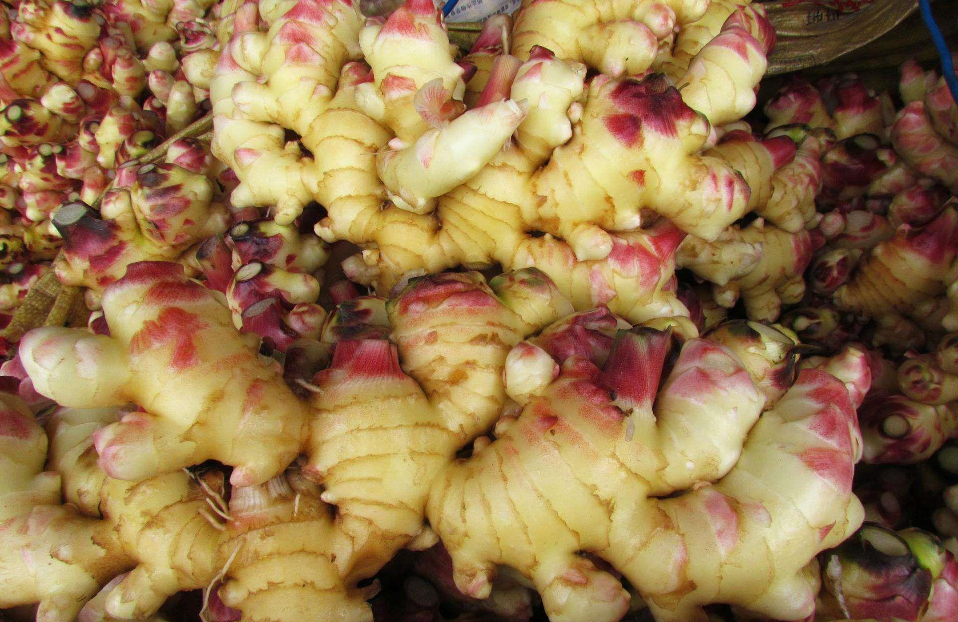 11月8日全国大姜主产区最新生姜价格行情