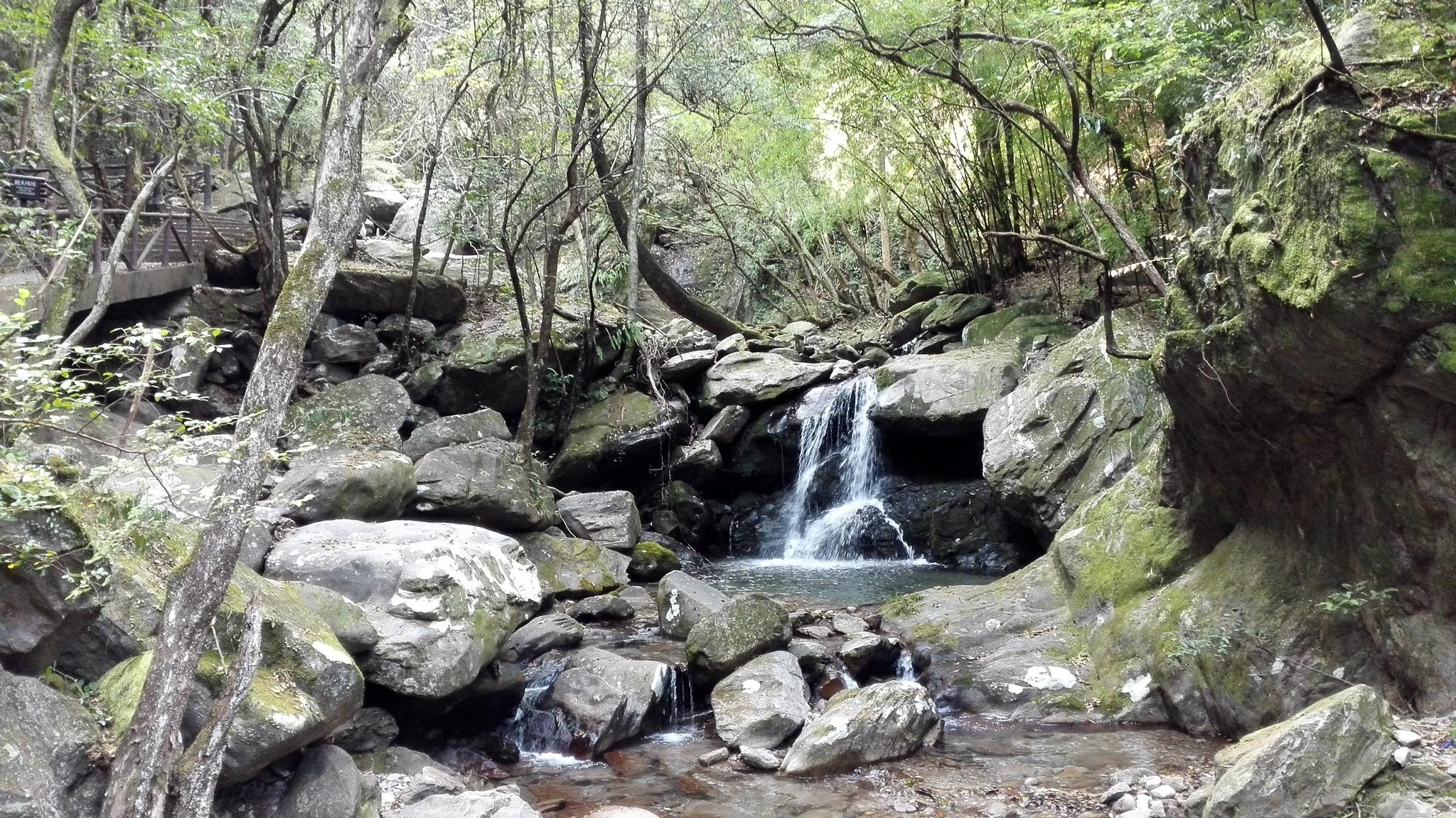 江西省 宜春市 靖安 三爪仑