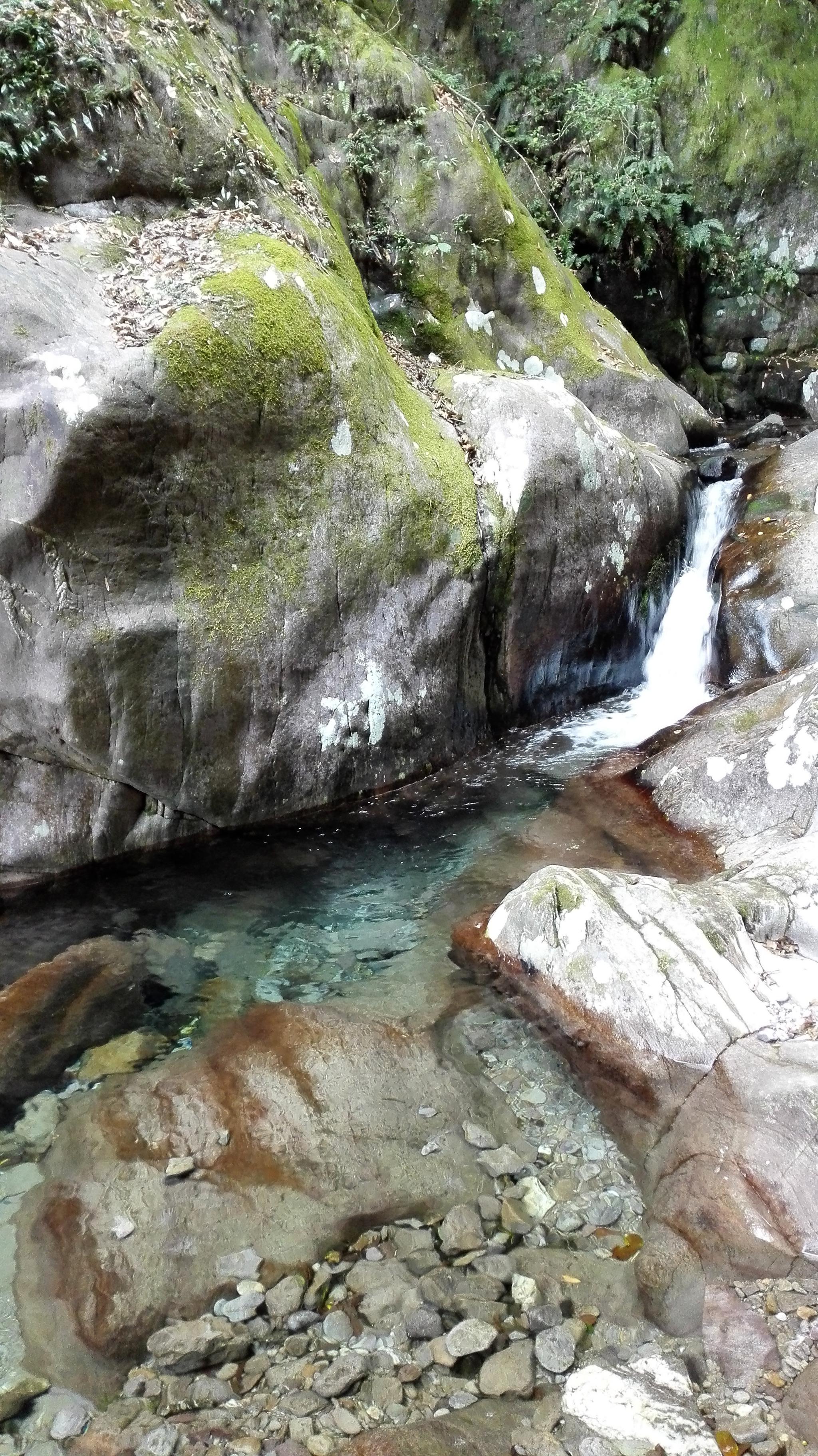 江西省 宜春市 靖安 三爪仑风景区