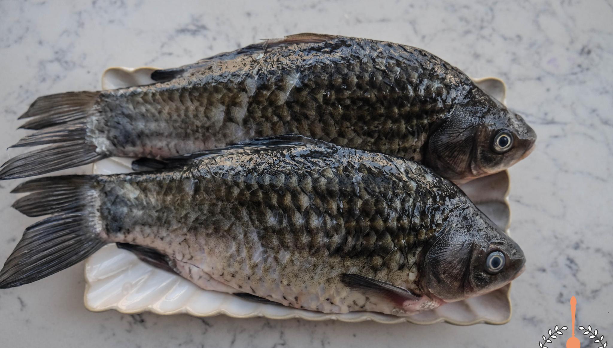 鲫鱼刺多不好吃像我这样做实在太绝了连刺一块全吃光