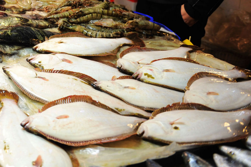 图中就是养殖的活压塌鱼,还在不停的动弹,25块钱一斤,买海鲜年货的