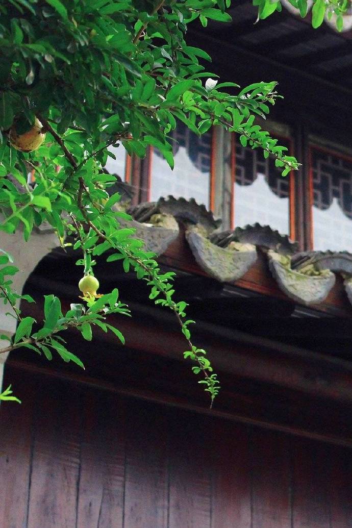 1/ 9弄弦竹篁和鸟鸣,挥墨兰馨溢香萱.