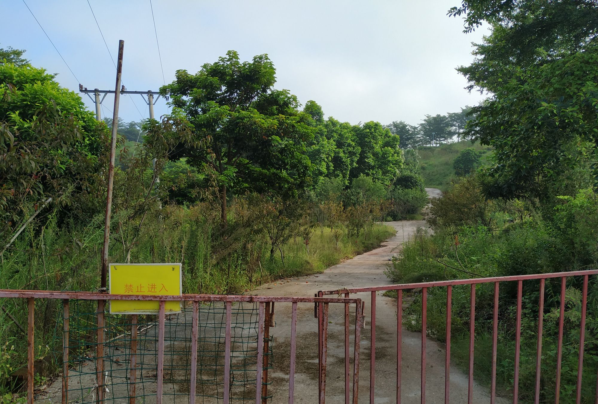 乡村景点:广东罗定花仙谷,又一座荒废"乐园"_高清图集_新浪网