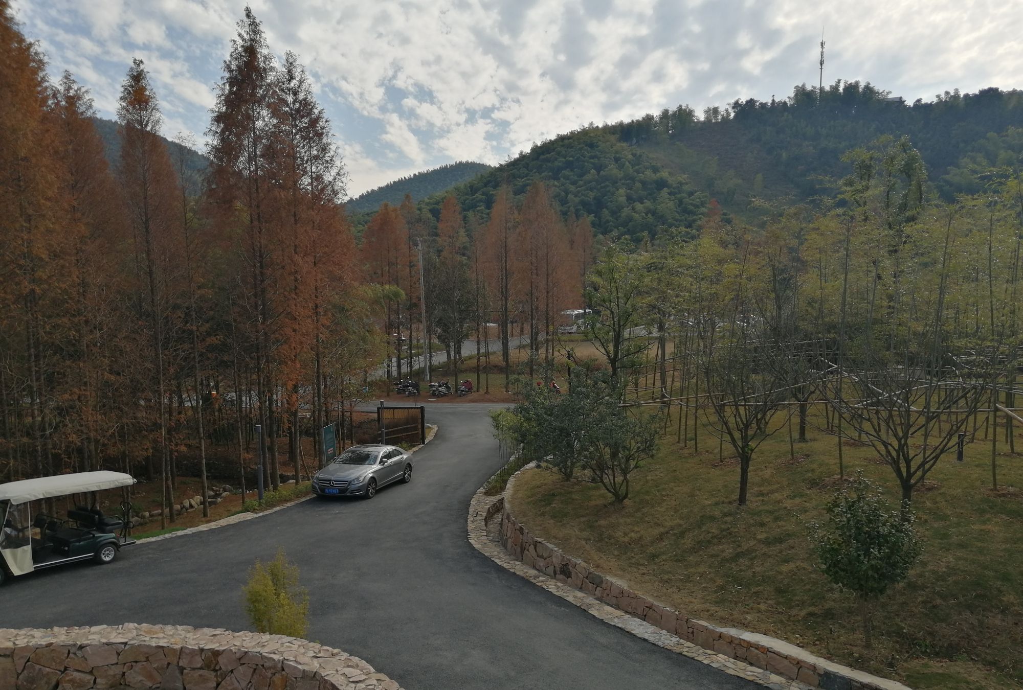 魅力湖州妙西,片片竹海,让你流连忘返