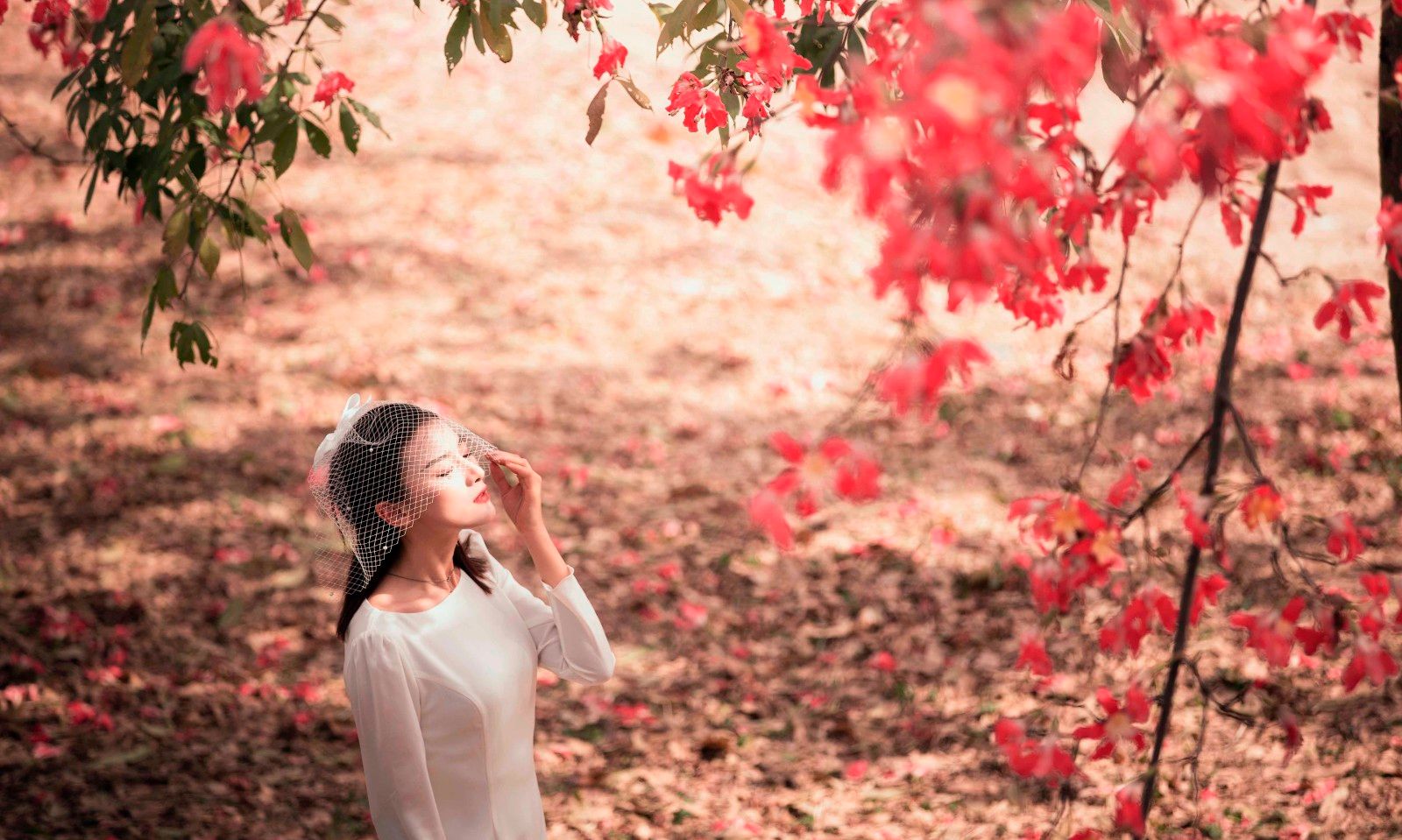 唯美花海女神