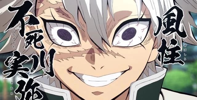 9 虫柱1 / 34 鬼杀队是动漫《鬼灭之刃》中的组织.是一个拥有数