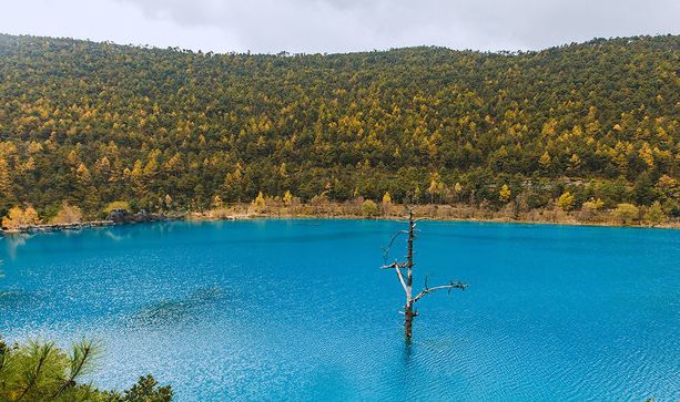白水河:远看就像一轮蓝色的月亮,镶嵌在玉龙雪山脚下美!