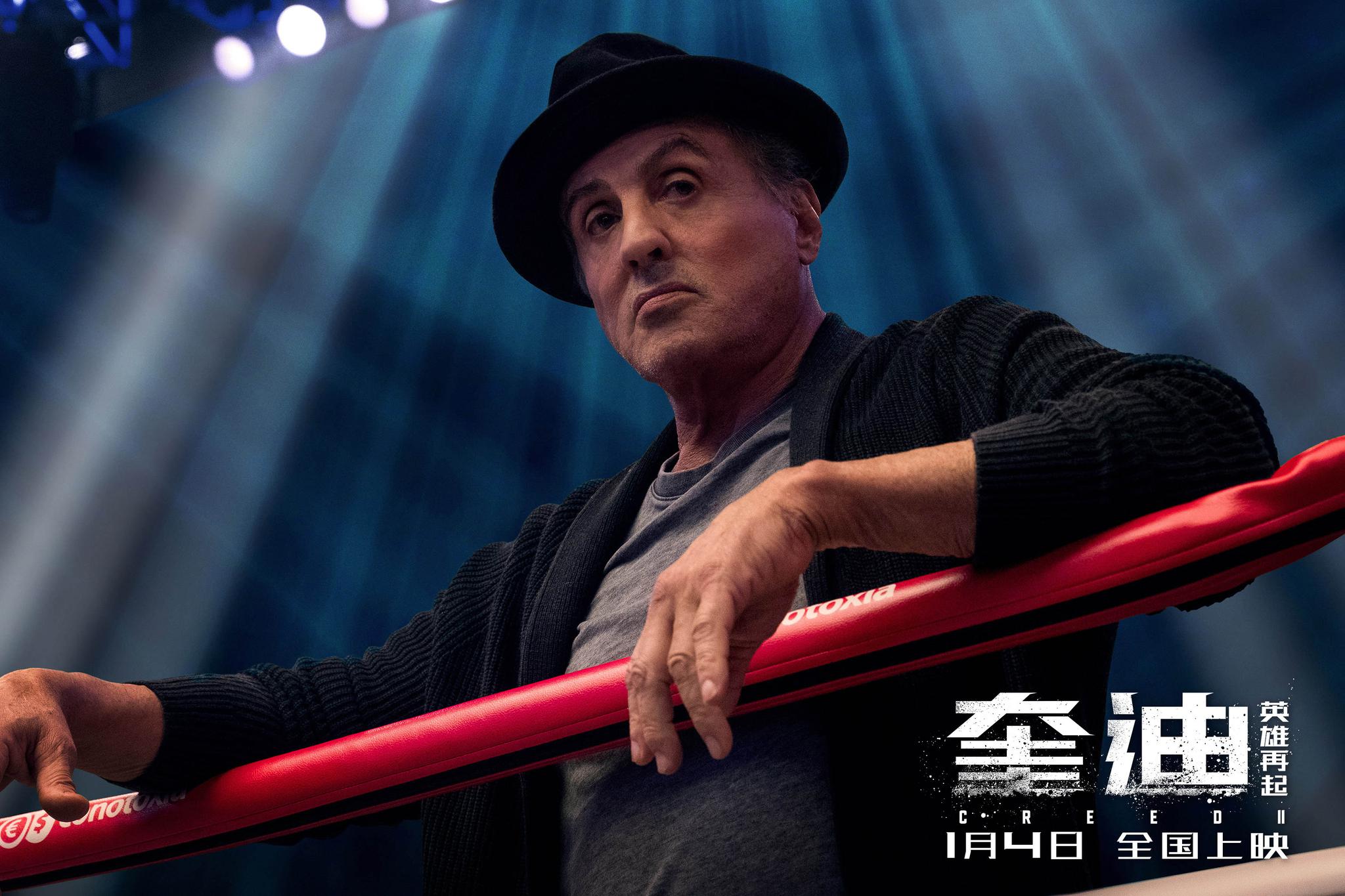 杜夫·龙格尔联袂出演,将于2019年1月4日全国上映,新拳王励志反扑