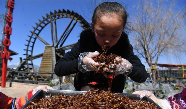 丽江一景区举行百虫宴,一吨昆虫免费宴请游客|云南|虫|昆虫_新浪新闻