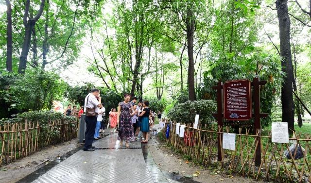 成都人民公园有个相亲角,为何每天都是一些老人家在此徘徊