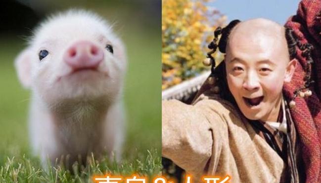 "真身vs人形",香蜜胡萝卜茄子凑一锅,古剑奇谭:我这有板蓝根