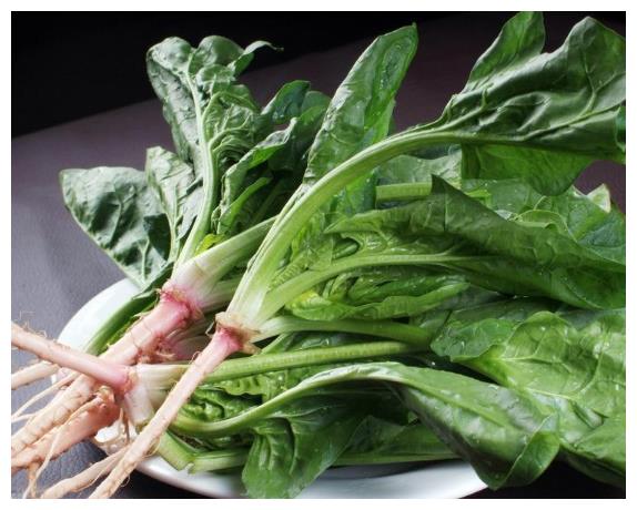 菠菜怎么做好吃（菠菜怎么做好吃家常菜）-85模板网