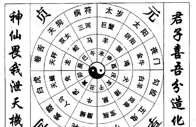 柑橘管理的金科玉律:从理论到实践的智慧总结