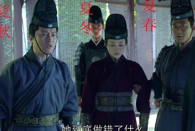 琅琊榜:夏春,夏秋,夏冬什么关系?夏冬的一句称呼暴露了出来!