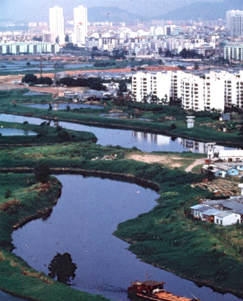 广东记忆1992年深圳来就是深圳人