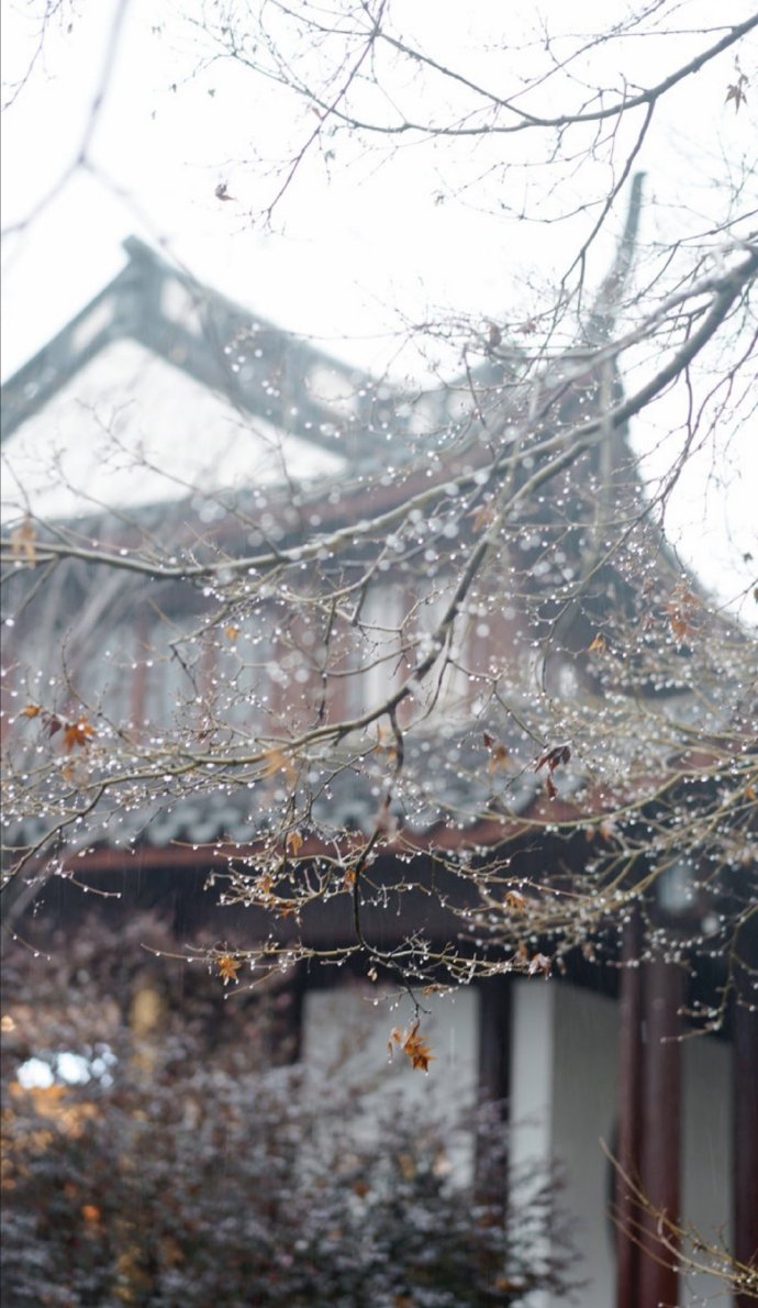 小楼一夜听春雨深巷明朝卖杏花