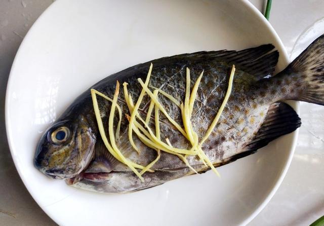 省时省力的清蒸姜丝葱花鱼,口味清淡却不乏鲜甜美味