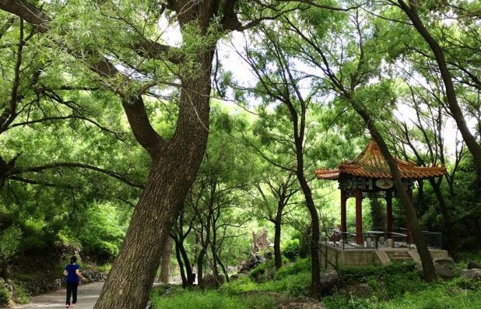 河北张家口的黄龙山庄,景色秀丽,就像一幅鸟雉和鸣的天然画卷