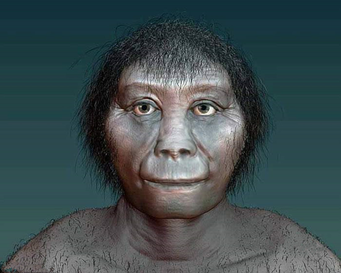 古人类猿人女性月经图片