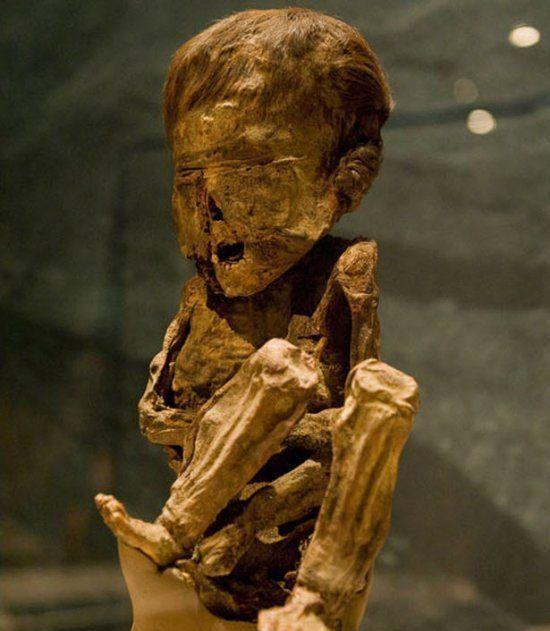 石化|胎儿|老太_新浪新闻