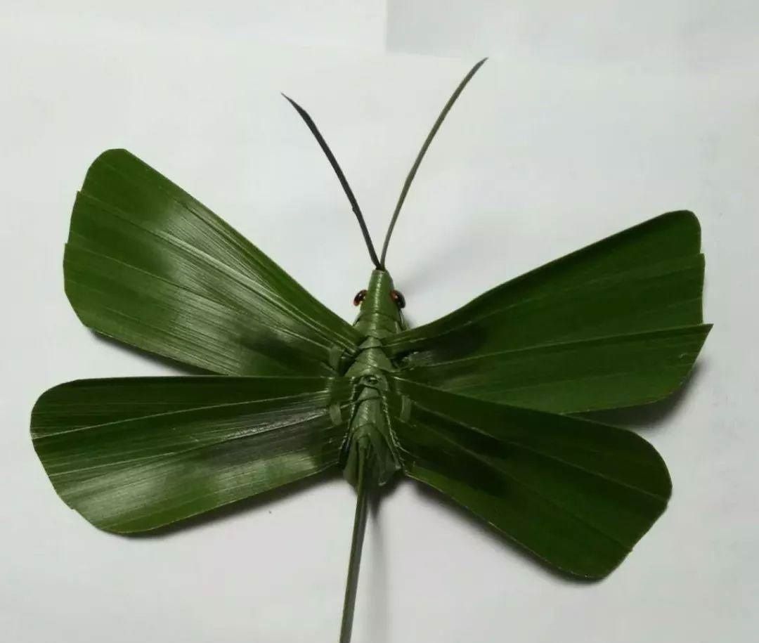 棕编，棕榈树叶上的艺术|贵州_新浪新闻
