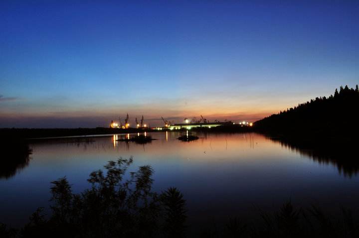 胃安心安久处繁华难舍花雨花畔