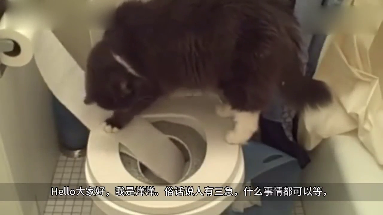 宇航员在太空船上，到底是如何上厕所的？答案你绝对想不到