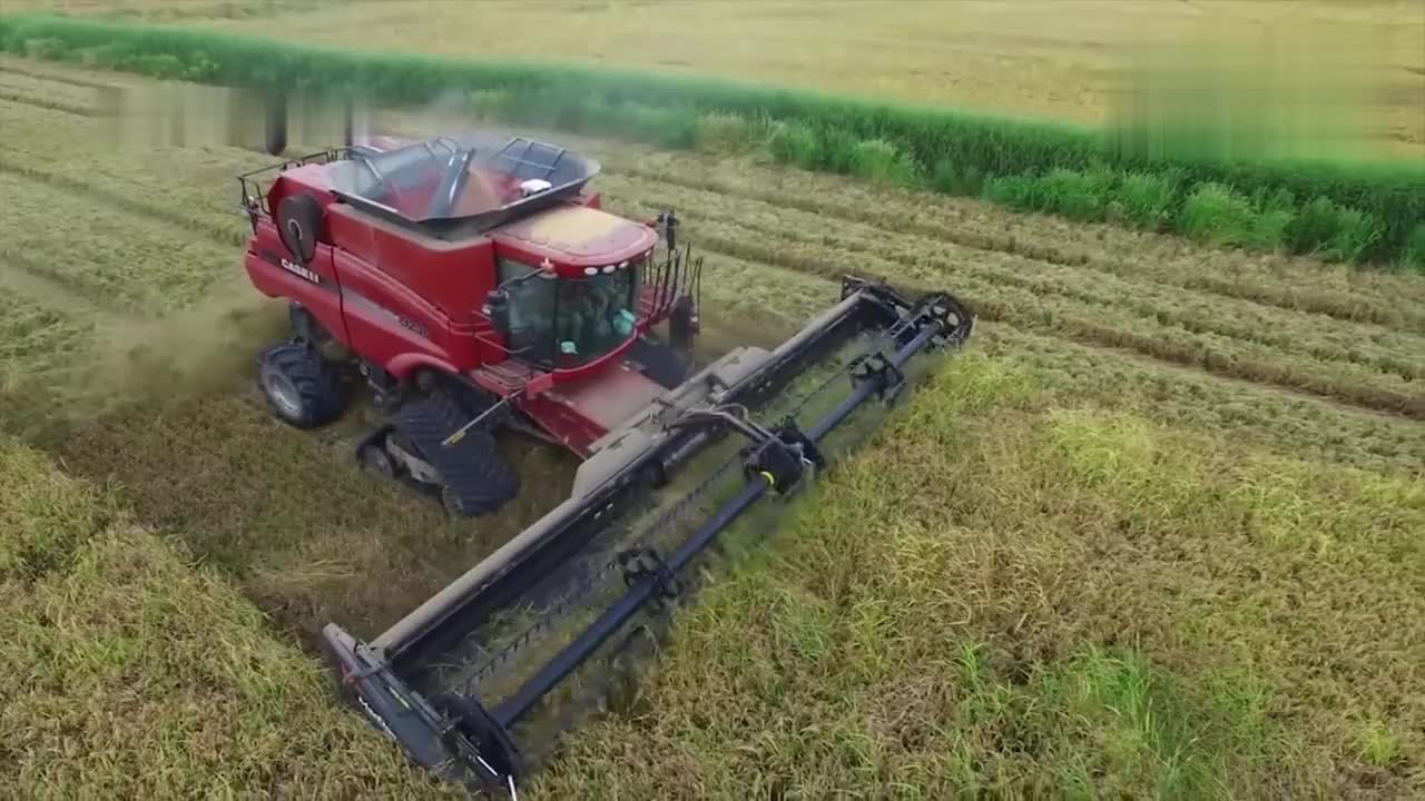 德国大型水稻收割机看割台就知道有多霸气一天能收1000亩吗