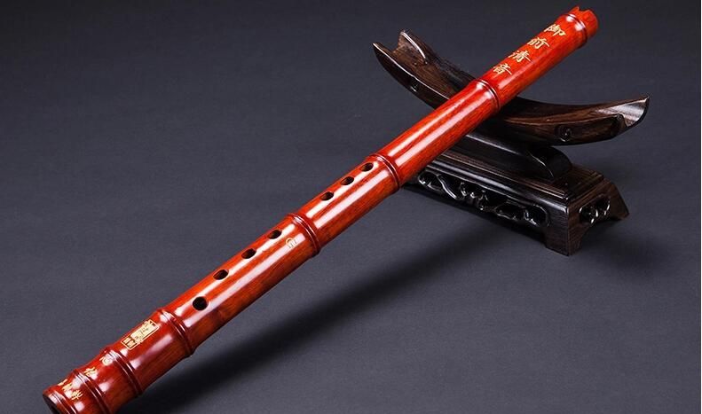 付豪付笛声儿子真相 星二代付豪露露关系