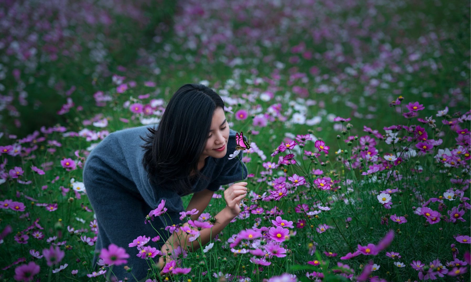 清秀的女人味更优雅