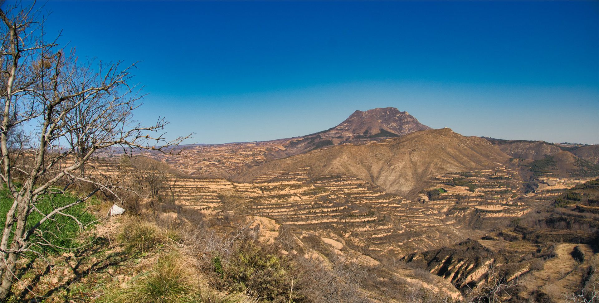 冬日里的九嵕山,寻找那一抹春天