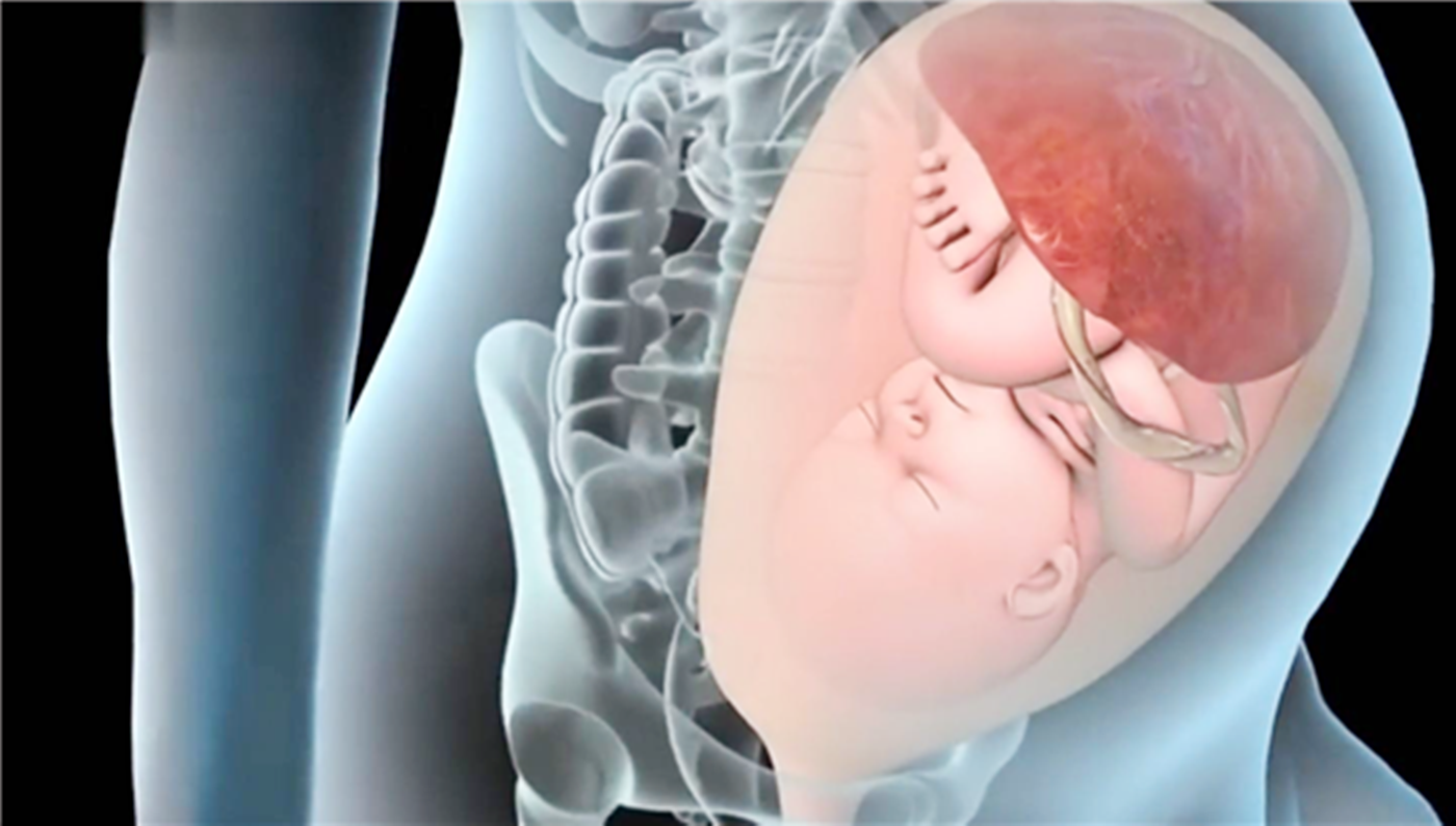 产道狭小胎儿出生时很拼妈妈承受的痛也不容忽视